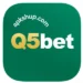 Q5Bet Game